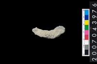 藏品(石環製作材料-旋截圓環粗胚)的圖片