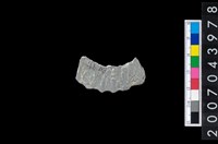 藏品(石環製作材料-旋截圓環粗胚)的圖片