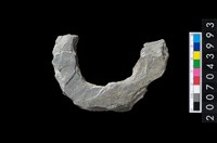 藏品(石環製作材料-周緣修整石環粗胚)的圖片