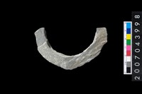 藏品(石環製作材料-周緣修整石環粗胚)的圖片