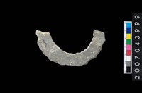 藏品(石環製作材料-周緣修整石環粗胚)的圖片