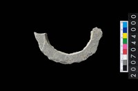 藏品(石環製作材料-周緣修整石環粗胚)的圖片