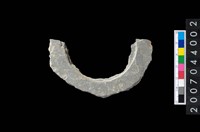 藏品(石環製作材料-周緣修整石環粗胚)的圖片