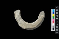 藏品(石環製作材料-周緣修整石環粗胚)的圖片