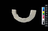 藏品(石環製作材料-周緣修整石環粗胚)的圖片