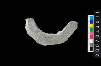 藏品(石環製作材料-周緣修整石環粗胚)的圖片