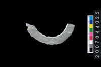 藏品(石環製作材料-旋截圓環粗胚殘件)的圖片