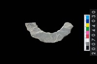 藏品(石環製作材料-周緣修整石環粗胚)的圖片