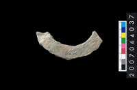 藏品(石環製作材料-旋截圓環粗胚殘件)的圖片