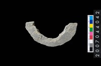 藏品(石環製作材料-旋截圓環粗胚殘件)的圖片