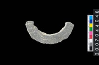 藏品(石環製作材料－旋截圓環粗胚殘件)的圖片