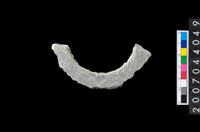 藏品(石環製作材料－旋截圓環粗胚殘件)的圖片