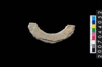 藏品(石環製作材料－旋截圓環粗胚殘件)的圖片