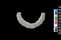 藏品(石環製作材料－旋截圓環粗胚殘件)的圖片