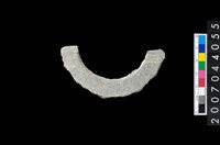 藏品(石環製作材料－旋截圓環粗胚殘件)的圖片