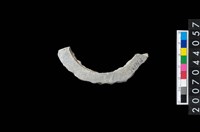 藏品(石環製作材料－旋截圓環粗胚殘件)的圖片