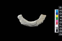 藏品(石環製作材料－旋截圓環粗胚殘件)的圖片