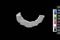 藏品(石環製作材料－旋截圓環粗胚殘件)的圖片