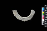 藏品(石環製作材料－旋截圓環粗胚殘件)的圖片