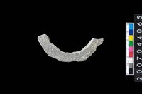 藏品(石環製作材料－旋截圓環粗胚殘件)的圖片