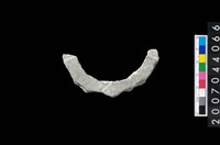 藏品(石環製作材料－周緣修整石環粗胚)的圖片