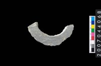 藏品(石環製作材料－旋截圓環粗胚殘件)的圖片