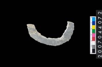 藏品(石環製作材料－旋截圓環粗胚殘件)的圖片