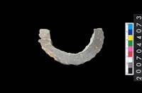 藏品(石環製作材料－旋截圓環粗胚殘件)的圖片