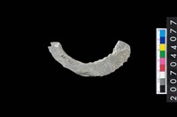 藏品(石環製作材料－旋截圓環粗胚殘件)的圖片