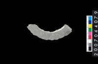 藏品(石環製作材料－旋截圓環粗胚殘件)的圖片