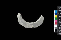 藏品(石環製作材料－旋截圓環粗胚殘件)的圖片