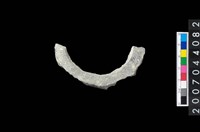 藏品(石環製作材料－旋截圓環粗胚殘件)的圖片