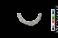 藏品(石環製作材料－周緣修整石環粗胚)的圖片