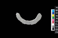 藏品(石環製作材料-旋截圓環粗胚殘件)的圖片