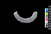 藏品(石環製作材料-旋截圓環粗胚殘件)的圖片