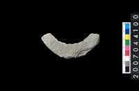 藏品(石環製作材料-帶搓磨痕石環粗胚)的圖片