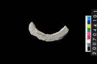 藏品(石環製作材料-旋截圓環粗胚殘件)的圖片