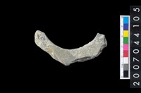 藏品(石環製作材料-旋截圓環粗胚殘件)的圖片