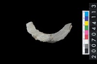 藏品(石環製作材料-旋截圓環粗胚殘件)的圖片