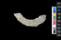 藏品(石環製作材料-旋截圓環粗胚殘件)的圖片