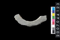 藏品(石環製作材料-旋截圓環粗胚殘件)的圖片