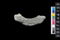 藏品(石環製作材料-周緣修整石環粗胚)的圖片