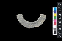 藏品(石環製作材料－旋截圓環粗胚殘件)的圖片