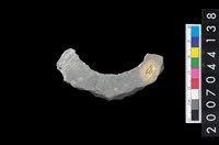 藏品(石環製作材料－周緣修整石環粗胚)的圖片