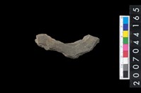 藏品(石環製作材料－周緣修整石環粗胚)的圖片