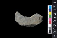 藏品(石環製作材料－周緣修整石環粗胚)的圖片