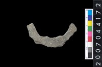 藏品(石環製作材料－周緣修整石環粗胚)的圖片