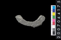 藏品(石環製作材料－旋截圓環粗胚殘件)的圖片