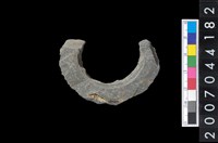 藏品(石環製作材料－旋截圓環粗胚殘件)的圖片