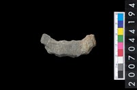 藏品(石環製作材料-周緣修整石環粗胚)的圖片